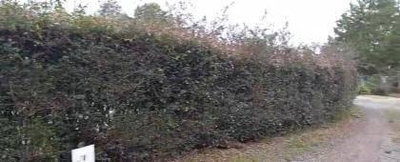 Lote em Condomínio 1.380m² com Vista para o Castelo Nacional