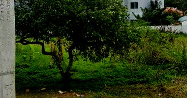 Terreno Urbano com 562,41m² em Brusque/SC