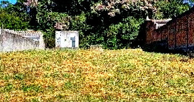 Casa em Criciúma/SC com Terreno Amplo