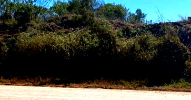 Terreno Amplo em Distrito Industrial