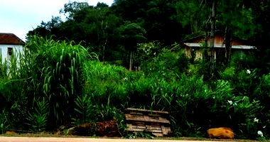 Terreno Urbano 600m² Desocupado em Porto Vitória/PR