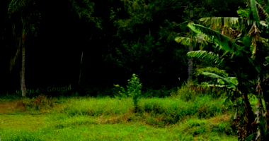 Terreno com 3.769,17m² em Blumenau/SC