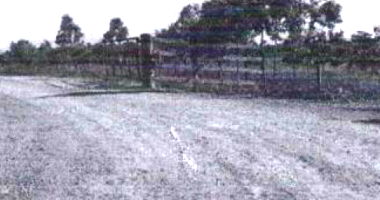 Lote Rural com Pastagens em Alto Paraíso/RO