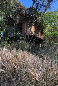Terreno de 6.050m² em Apucarana, ideal para investimento