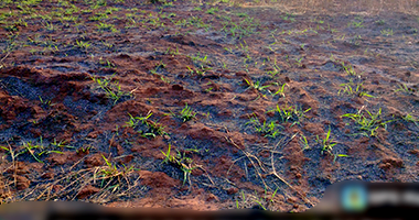 Terreno 253m² em Nova Alvorada do Sul