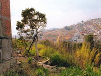 Lote com 320m² em Juruaia/MG -