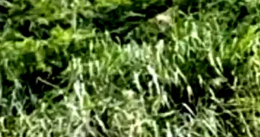 Terreno com 264,7m² em leilão, imóvel ocupado