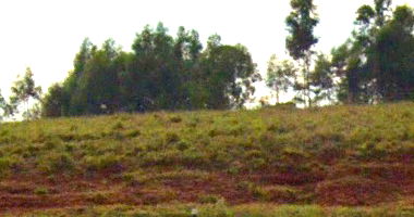 Terreno com 212m² no Parque Res. Pérola III