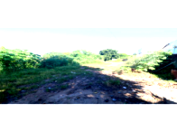 Terreno 405m² à Av. das Oliveiras