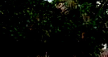 Casa Ocupada com 128m² de Área Construída no Jardim América