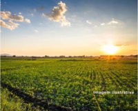 Área de terras com 1.452 ha