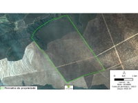 Área Rural de 774,50 ha ocupada, ideal para investimento