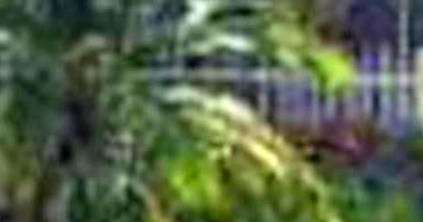 Casa Ocupada com 4 Quartos em Três Lagoas/MS