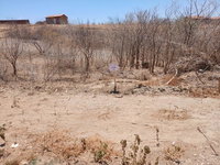 Terreno em Cruzeta com 156m²