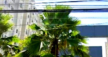 Apartamento com 44.11m² em Humaitá - Porto Alegre/RS