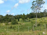 Fazenda Ocupada em Araguaçu - TO com 96.83 ha