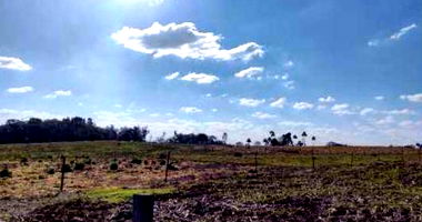 Terreno Rural de 8 Hectares em Guarapuava