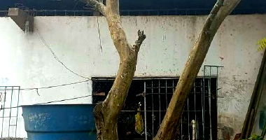 Imóvel Industrial com 33.604m² de terreno em Macapá/AP