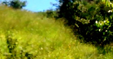 Fazenda Santa Fé com 214,634 HA em Padre Bernardo/GO