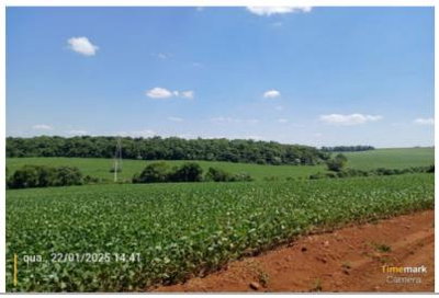 Terreno Rural 9,48 ha - Mecanizável e Reserva Legal