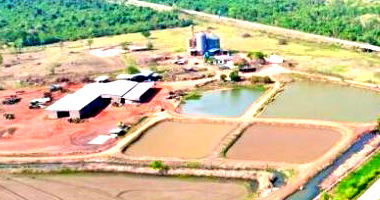 Fazenda de Lavoura com 1.626 Hectares em Miranda - MS