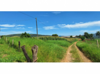 Chácara mecanizada com 1 hectare para plantio em Tibagi/PR