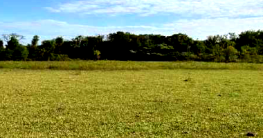 50% de Fazenda com 98has em Dourados/MS