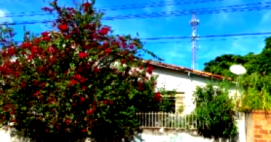 04 Casas e Piscina em Terreno Amplo