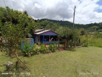 Lote urbano com 840m² e duas casas, ideal para investimento