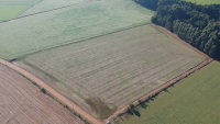 Fração de Terreno Rural com Casa e Galpão em Ernestina/RS