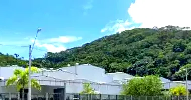 Galpão Desocupado com 30.000 m² em Barra Alegre