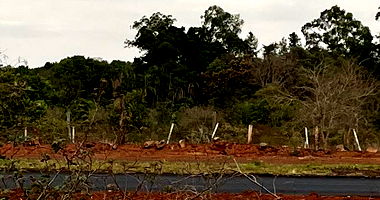 Terreno Amplo em Localização Privilegiada