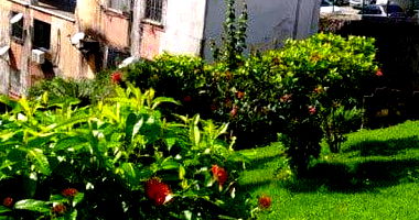 Apartamento no Residencial Renan Baleeiro com 2 Quartos