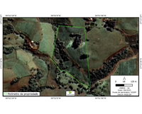 Fazenda Butiazinho 7,4ha -
