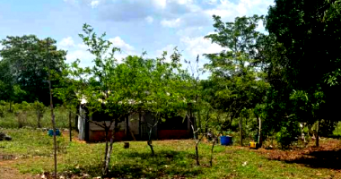 Fazenda com 121,35 hectares, 2 casas e benfeitorias