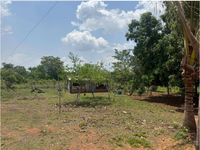 Fazenda com 121,35 hectares, 2 casas e benfeitorias