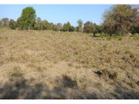 Área Rural com 483,25 hectares em Lagoa da Confusão/TO