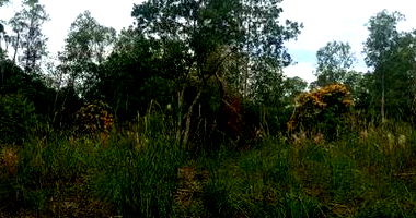 Área de Terras com 59.450m² em Montenegro/RS