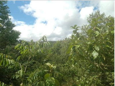 Terreno Rural Desocupado em Itamarandiba - 79,6140ha