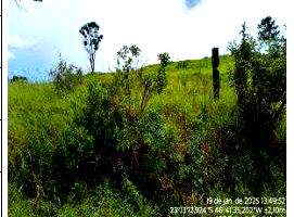 Fazenda Santa Thereza Rural com 252.687m² de terreno