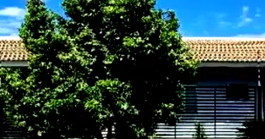 Casa com 180m² construída e terreno de 307m², imóvel ocupado