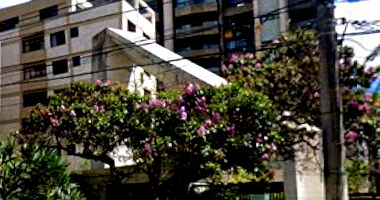 Apartamento com 230m² e 3 vagas em Belo Horizonte