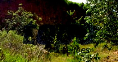 Terreno Urbano em Marquinho/PR com 1000m²