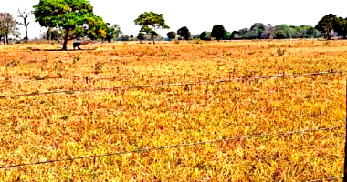 Fazenda com 764,72 hectares e benfeitorias em Cáceres/MT
