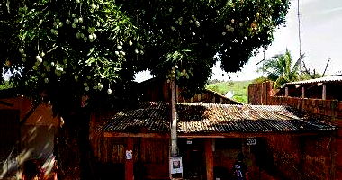 Casa de Madeira e Salão em Adamantina - 313,90m²