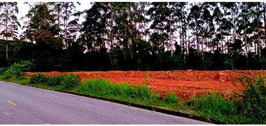 Terreno Desocupado de 17.476,75 m² em Joinville/SC