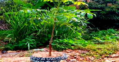 Terreno Amplo em Conde PB com 3.000m²