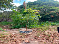 Terreno Amplo em Conde PB com 3.000m²
