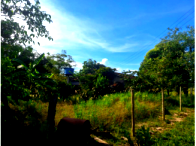 Parte ideal de sítio em Goiás/GO