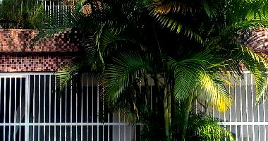 Casa com 2 quartos em São Paulo